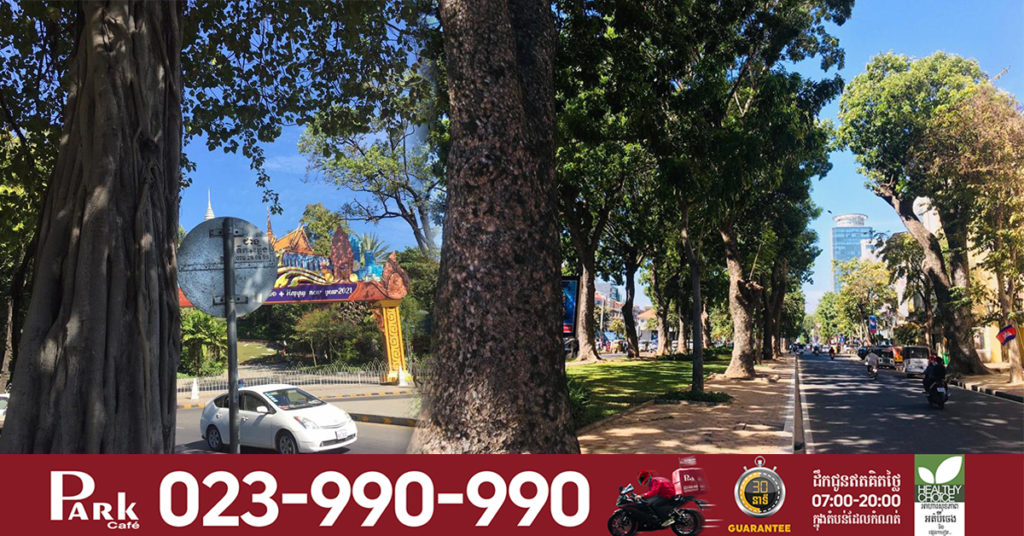 ដើមឈើធំៗចំនួន៣ដើមមានអាយុកាលជាង៣០០ឆ្នាំ នៅលើសួនកាណាឌីយ៉ា ផ្លូវភ្លោះមុខមន្ទីរពេទ្យព្រះអង្គឌួង ដោយសារពុកគល់ និងទ្រេតអាជ្ញាធរភ្នំពេញគ្រោងកាប់ចេញនៅសប្តាហ៍ក្រោយ