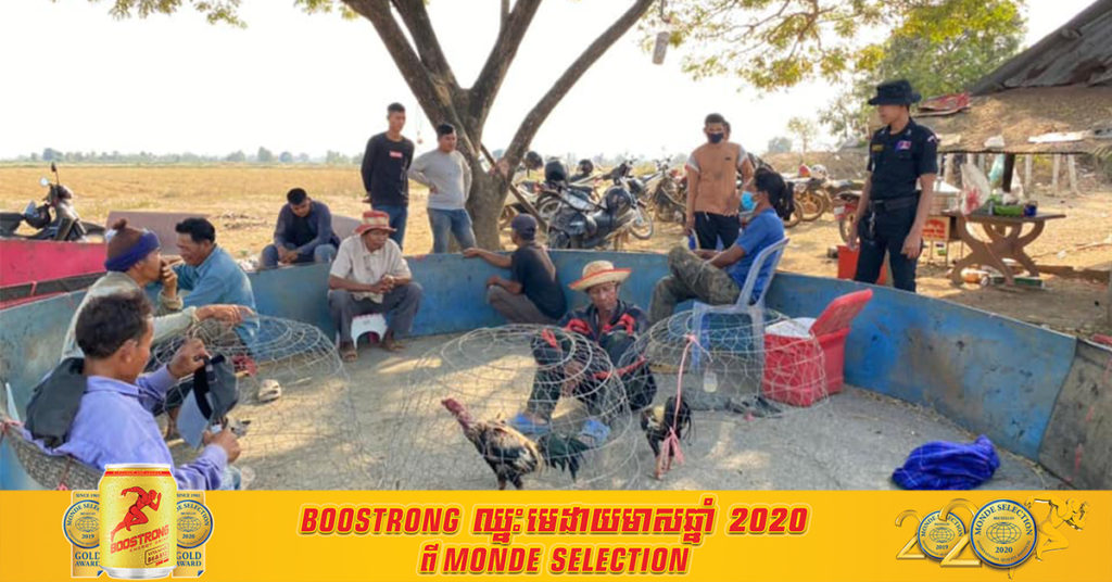 សមត្ថកិច្ចចុះបង្គ្រាបល្បែងជល់មាន់មួយកន្លែង ឃាត់ខ្លួនអ្នកពាក់ព័ន្ធ៨នាក់ ទៅកាន់ស្នងការខេត្តបាត់ដំបង