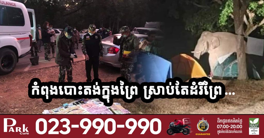 សូមប្រយ័ត្ន អ្នកចូលចិត្តដើរលេងបោះតង់ក្នុងព្រៃ! បុរសម្នាក់បោះតង់ក្នុងព្រៃនៅខេត្តមួយក្នុងប្រទេសថៃ  ស្រាប់តែកំពុងដេក ត្រូវដំរីព្រៃមួយក្បាល…