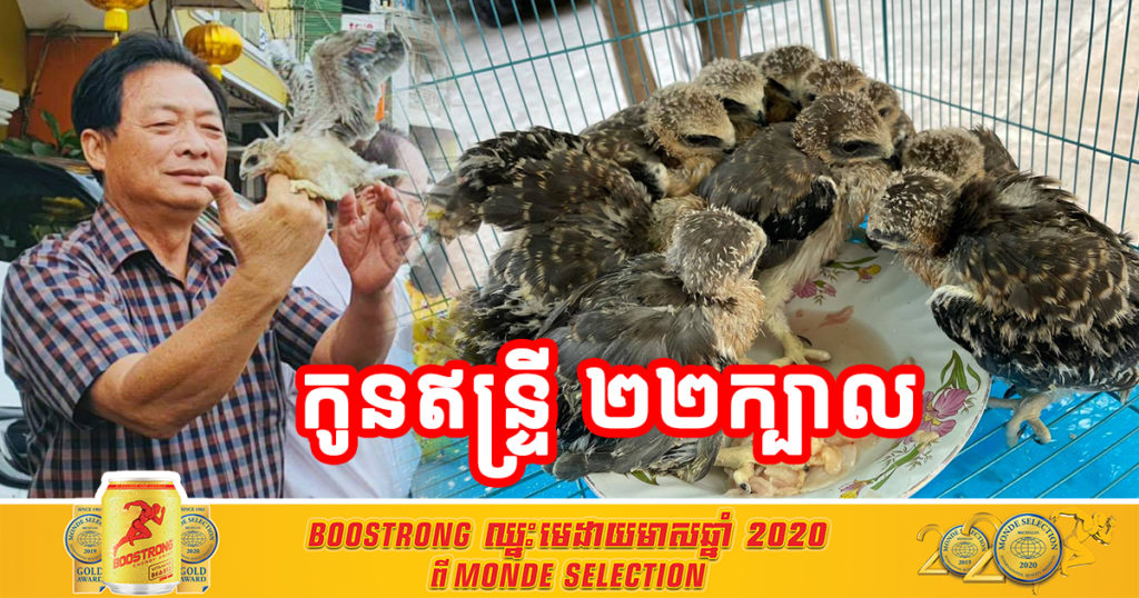 ឧកញ៉ា ម៉ុង ឬទ្ធី ឃើញគេដាក់លក់កូនសត្វឥន្ទ្រី ២២ក្បាល ក៏សម្រេចចិត្តទិញទាំងអស់ ថែទាំសិនដើម្បីទុកប្រលែង