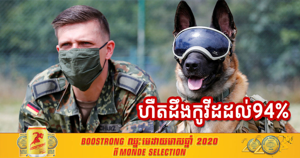 ការសិក្សារបស់អាឡឺម៉ង់បានរកឃើញថា សត្វឆ្កែមានសមត្ថភាពអាចហឺតដឹងជំងឺកូវីដ១៩ បានច្បាស់ត្រឹមត្រូវដល់ ៩៤%