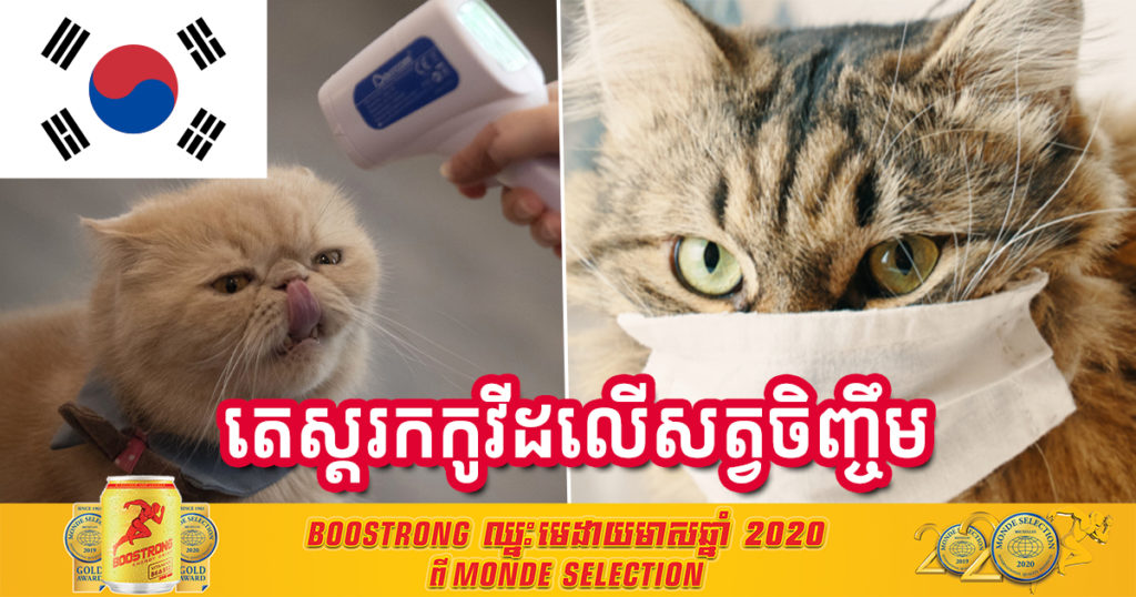 កូរ៉េខាងត្បូងចាប់ផ្ដើមធ្វើតេស្ដរកជំងឺកូវីដ១៩លើសត្វចិញ្ចឹម ក្រោយរកឃើញមានករណីសត្វឆ្មាឆ្លងកូវីដ១៩ជាលើកដំបូងបំផុត