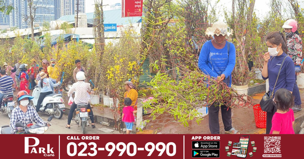 ប្រជាពលរដ្ឋខ្មែរខ្សែស្រឡាយចិន-វៀតណាម នាំគ្នាមកទិញផ្កាអង្គារសីល៍ ដើម្បីយកទៅតាំងលម្អតាមលំនៅដ្ឋាន