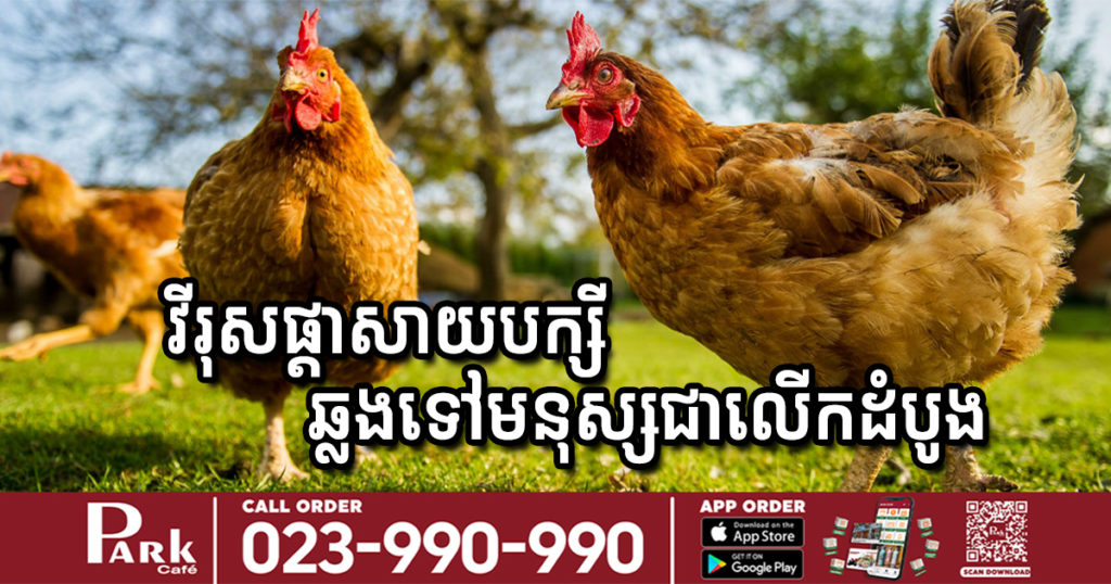 ប្រទេសរុស្ស៊ីរកឃើញករណីវីរុសផ្តាសាយបក្សី H5N8 ឆ្លងពីបក្សីទៅមនុស្សជាលើកដំបូងបង្អស់លើពិភពលោក