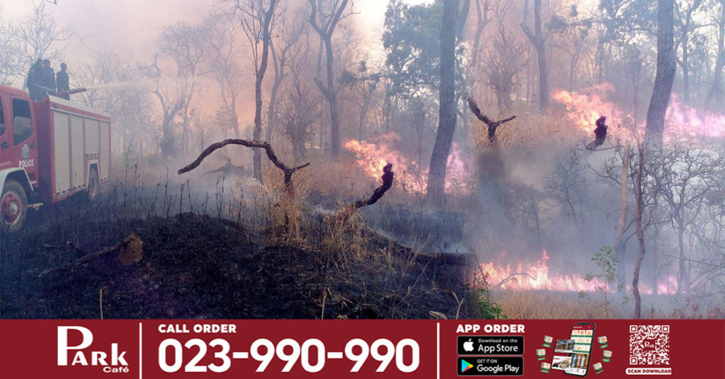 ភ្លើងឆេះព្រៃនៅចម្ការពូជឈើធ្នុងអស់ប្រមាណ២០ហិកតា នៅក្នុងស្រុកស្វាយលើ ខេត្តសៀមរាប សមត្ថកិច្ចកំពុងស្រាវជ្រាវរកមុខជនបង្ក