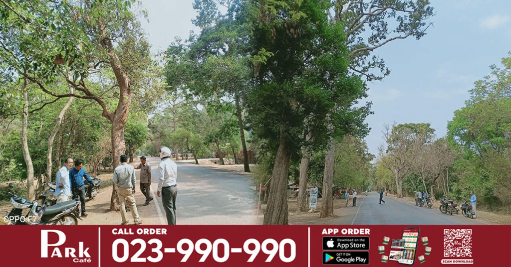 អាជ្ញាធរជាតិអប្សរា ចុះដកដើមឈើ៤ដើម ដែលមានហានិភ័យខ្ពស់ ធ្លាប់កើតមានគ្រោះថ្នាក់ចរាចរណ៍ លើដងផ្លូវពីខាងកើតប្រាសាទអង្គរវត្តដល់ខាងត្បូងប្រាសាទបន្ទាយក្តី