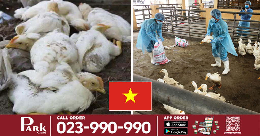 គិតត្រឹមដើមឆ្នាំ២០២១ វៀតណាមបានសម្លាប់សត្វបក្សីច្រើនជាង ១០០,០០០ ក្បាល ដើម្បីទប់ស្កាត់ការឆ្លងរាលដាលនៃជំងឺផ្ដាសាយបក្សី