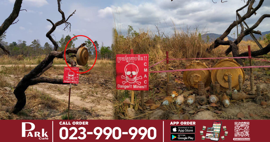 ប្រជាពលរដ្ឋយកគ្រាប់មីនតោន ដែលពួកគាត់រាវរកឃើញនៅក្នុងដីចំការមកព្យួរនៅមែកឈើក្បែរផ្លូវ ដើម្បីកុំឱ្យក្រុមជំនាញស៊ីម៉ាក់ពិបាករាវរុករក