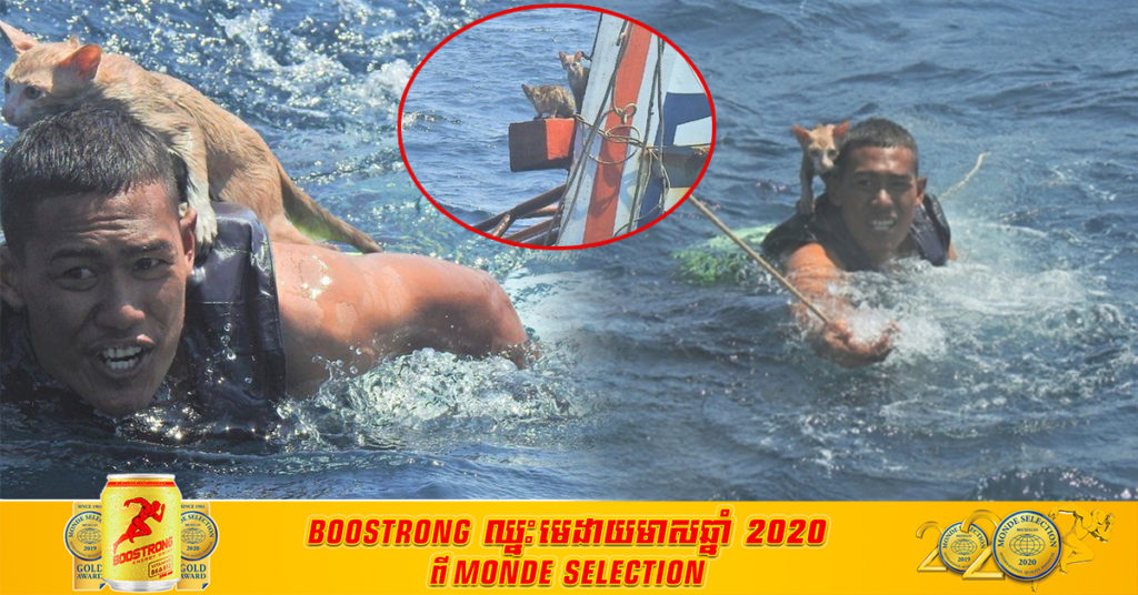 គួរឱ្យសរសើរមែន! ទាហានជើងទឹកថៃម្នាក់សុខចិត្តហែលទឹកពីចម្ងាយ ទៅជួយសង្គ្រោះសត្វឆ្មា ៤ក្បាល ដែលគេបោះបង់នៅលើទូកឆេះចោលមួយគ្រឿង