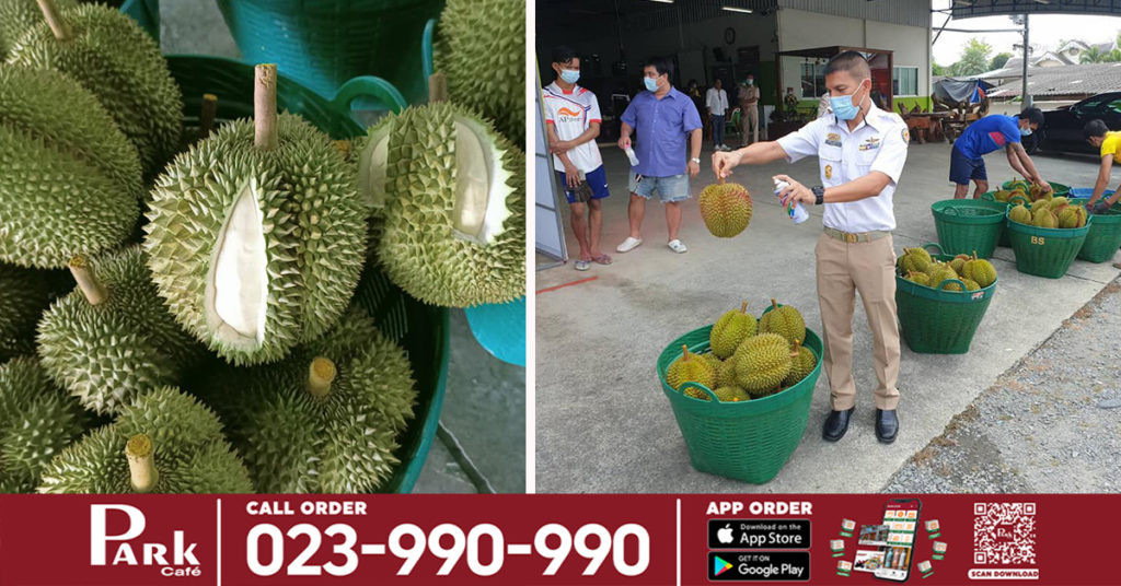 ចង់ចំណេញដាច់ចំណង! កសិករថៃបេះទុរេនពីដើមទាំងខ្ចីសស្គុះ ប្រុងលក់ចេញទៅប្រទេសចិន ត្រូវអាជ្ញាធររកឃើញ និងផាកពិន័យ ដោយសារលក់ទុរេនមិនត្រូវតាមស្ដង់ដារ