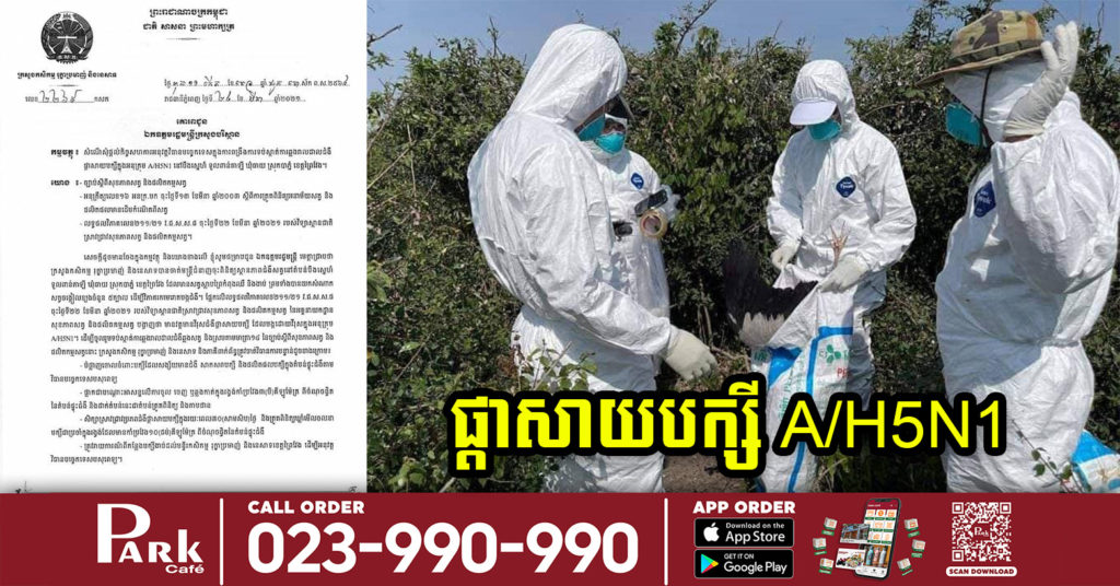 ផ្ទុះជំងឺ ផ្តាសាយបក្សីក្នុងអនុក្រម A/H5N1 នៅតំបន់ បឹងស្នេហ៍ ទួលពាន់តាឡី ឃុំធាយ ស្រុកបាភ្នំ ខេត្តព្រៃវែង