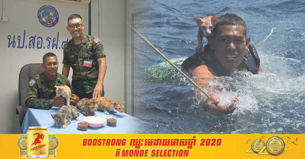 ទាហានជើងទឹកថៃដែលបានហែលទឹកទៅជួយសង្គ្រោះសត្វឆ្មា ៤ក្បាល ពីទូកនេសាទដែលលិចក្នុងសមុទ្រ Andaman ពេលនេះបានទទួលលិខិតកោតសរសើរពីអង្គការ PETA