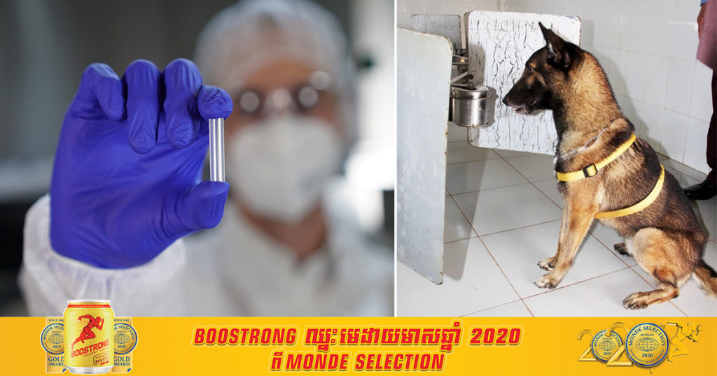 ឧបករណ៍ចាប់ក្លិនវីរុសកូវីដ១៩ សំរាប់ហ្វឹកហ្វឺនសុនខហិតអ្នកផ្ទុកវីរុសកូវីដ១៩​ បានមកដល់កម្ពុជាហើយ