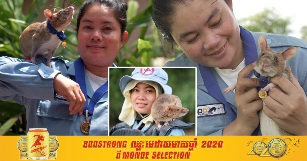 ឯកឧត្តម ហេង រតនា ប្រធានស៊ីម៉ាក់ បញ្ជាក់ថា កម្ពុជាមានកណ្តុរចំនួន៥៧ក្បាលសំរាប់បំរើប្រតិបត្តិការបោសសំអាតមីន