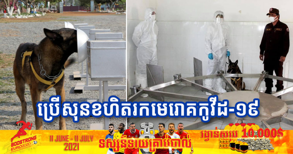 កម្ពុជា​នឹង​ចាប់​ផ្តើម​ប្រើ​សុនខ​ស្រាវជ្រាវ​រក​មេរោគ​កូ​វីដ-​១៩ ​នៅ​ពាក់កណ្តាល​ខែក្រោយ​នេះ​