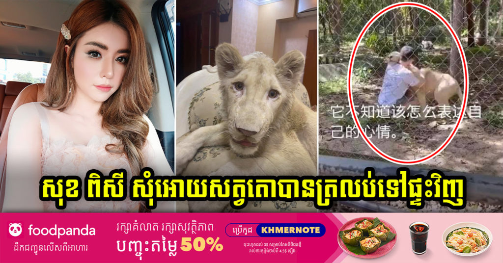 ផ្អើលដល់តារាៗ ! តារាចម្រៀង សុខ ពិសី សុំអោយអាជ្ញាធរអនុញ្ញាតអោយសត្វតោនោះ បានត្រលប់មកផ្ទះវិញផង