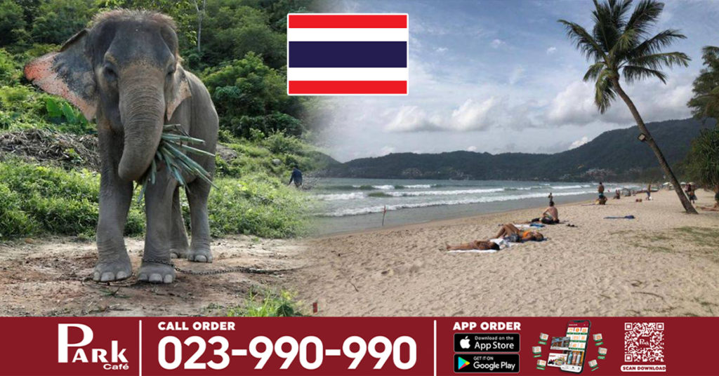 កោះភូកេតរបស់ប្រទេសថៃ ចាប់ផ្ដើមបើកដំណើរការឱ្យមានទេសចរណ៍អន្តរជាតិចូលមកកម្សាន្តដោយមិនចាំបាច់ធ្វើចត្តាឡីស័កនៅថ្ងៃនេះ