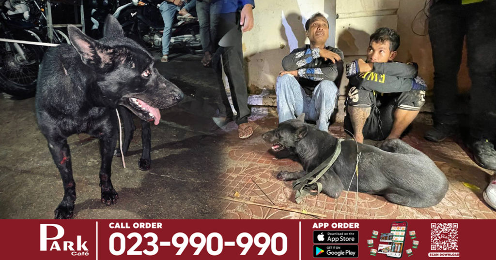 រកមុខឃើញហើយ! ក្រុមដើរលួចទា-ក់ឆ្កែ២នាក់ ត្រូវសមត្ថកិច្ចពួនស្ទាក់ចាប់បានទាំងកណ្តាលយប់ ខណៈកំពុងលួចឆ្កែគេ