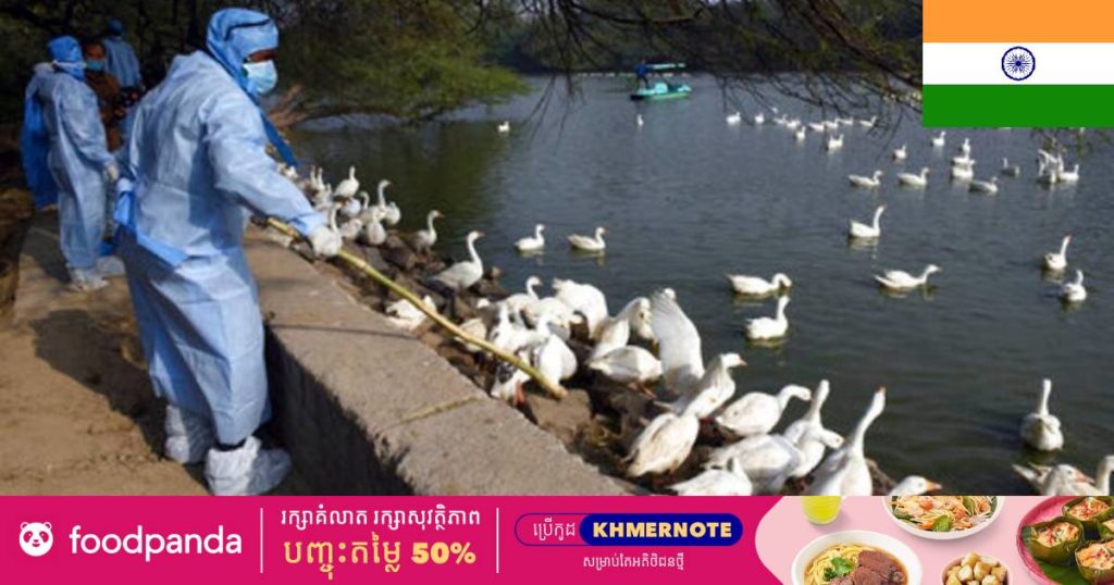 ឥណ្ឌាមិនទាន់រួចដៃពីកូវីដ ១៩ផង ស្រាប់តែបានរកឃើញករណីអ្នកបាត់បង់ជីវិតដោយជំងឺផ្តាសាយបក្សីបន្ថែមទៀត