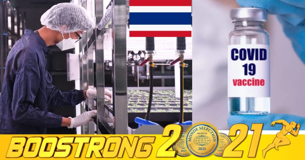 វ៉ាក់សាំងកូវីដផលិតពីប្រូតេអ៊ីនដំបូងគេរបស់ថៃទទួលបានជោគជ័យដល់ដំណាក់កាលធ្វើតេស្តលើរាងកាយមនុស្សហើយ