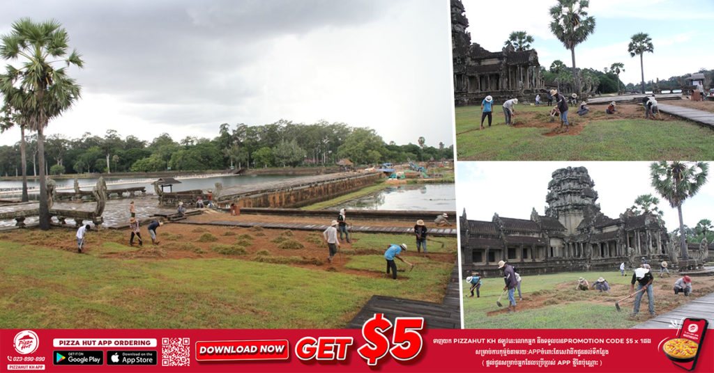 អាជ្ញាធរជាតិអប្សរាកំពុងដាំស្មៅកែលម្អបរិវេណក្នុងប្រាសាទអង្គរវត្ត