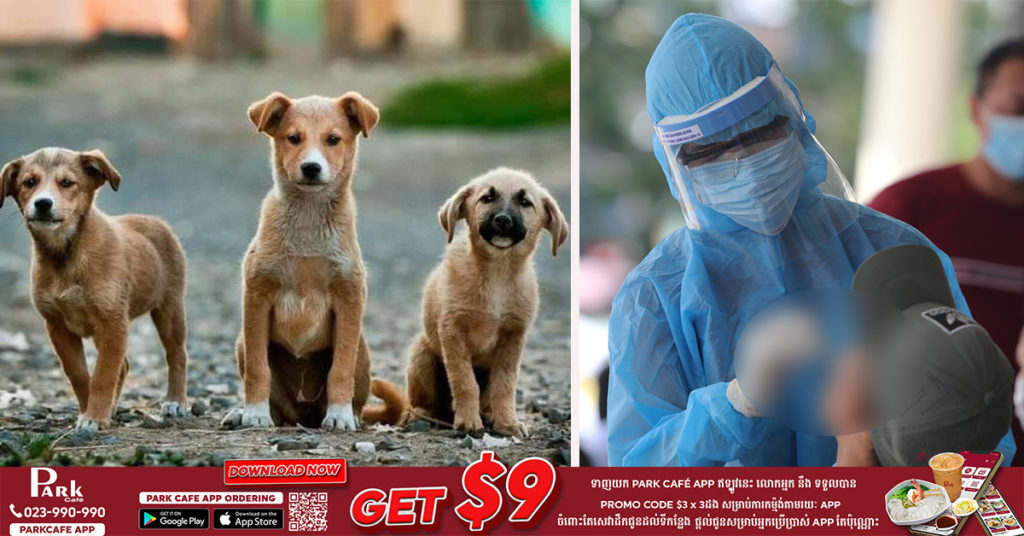 ក្រសួងសុខាភិបាលវៀតណាមបានហាមប្រាមមិនឱ្យអ្នកជំងឺកូវីដ១៩ ដែលសម្រាកព្យាបាលនៅតាមផ្ទះ ប៉ះពាល់ជាមួយសត្វស្រុក ឬសត្វចិញ្ចឹមណាមួយឡើយ