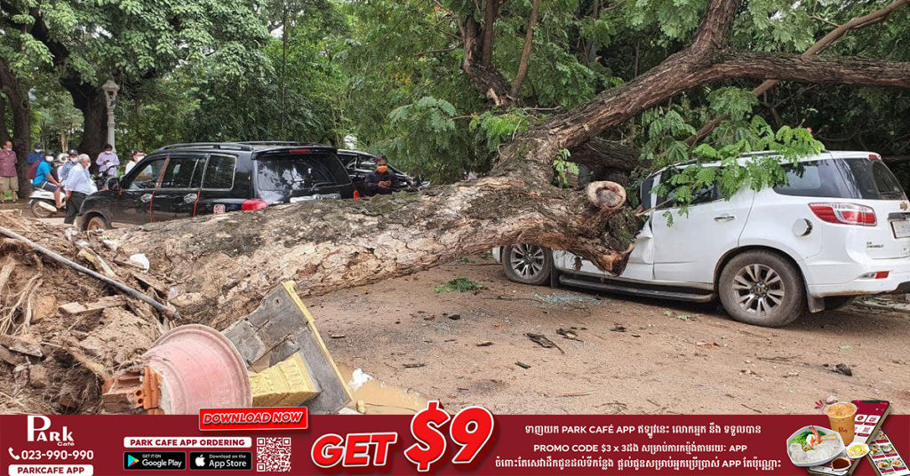រថយន្តស៊េរីទំនើបមួយគ្រឿង ត្រូវដើមឈើរលំសង្កត់បណ្ដាលឲ្យខូចខាតយ៉ាងដំណំ សំណាងម្ចាស់រថយន្តមិនរងរបួស