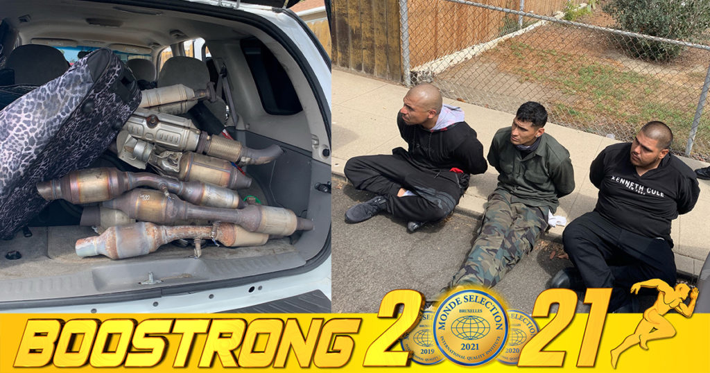 ប៉ូលិសសហរដ្ឋអាមេរិកចាប់បានជនសង្ស័យ៣នាក់ ដើរលួចសំបុកឃ្មុំរថយន្តយកទៅលក់