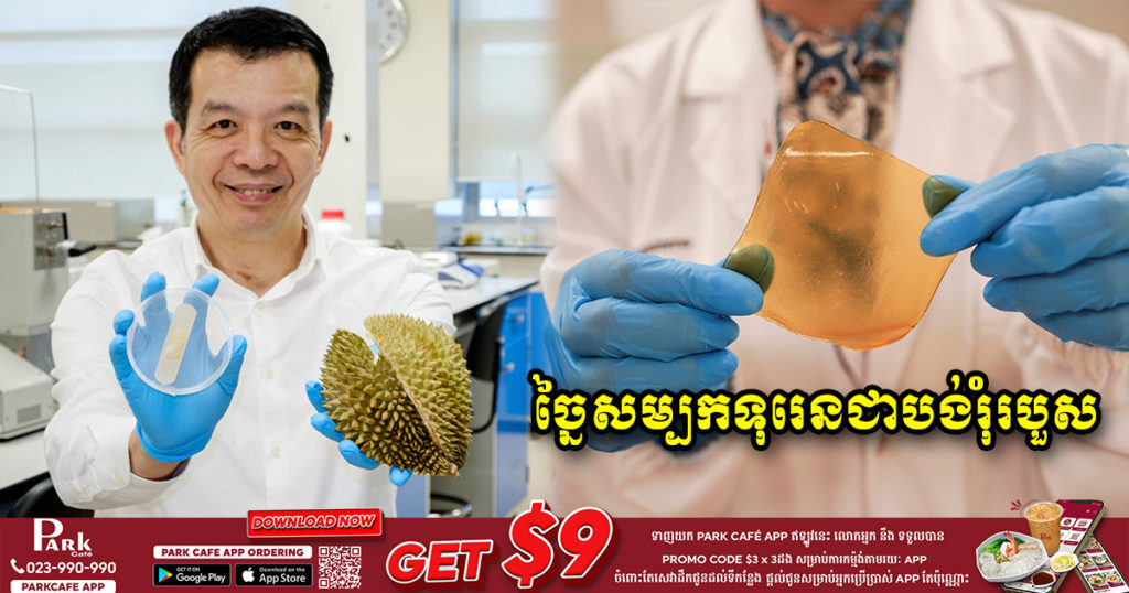 អ្នកវិទ្យាសាស្រ្តសិង្ហបុរីរកឃើញវិធីកែច្នៃសម្បកទុរេនឲ្យក្លាយជាបង់រុំរបួសបានយ៉ាងមានប្រសិទ្ធភាព