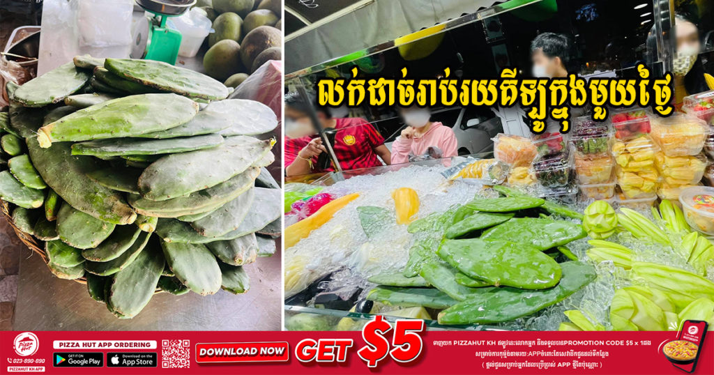 មិនធម្មតាឡើយ! មកដឹងតម្លៃប្រទាលបាតដៃ ដែលកំពុងតែល្បីខ្លាំង លក់ដាច់រាប់រយគីឡូក្នុង១ថ្ងៃ