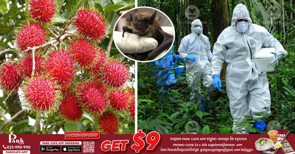 យ៉ាងហោចណាស់មានមនុស្សម្នាក់បានបាត់បង់ជីវិត និង ១១ នាក់ផ្សេងទៀត បានឆ្លងវីរុស Nipah នៅក្នុងរដ្ឋ Kerala របស់ប្រទេសឥណ្ឌា