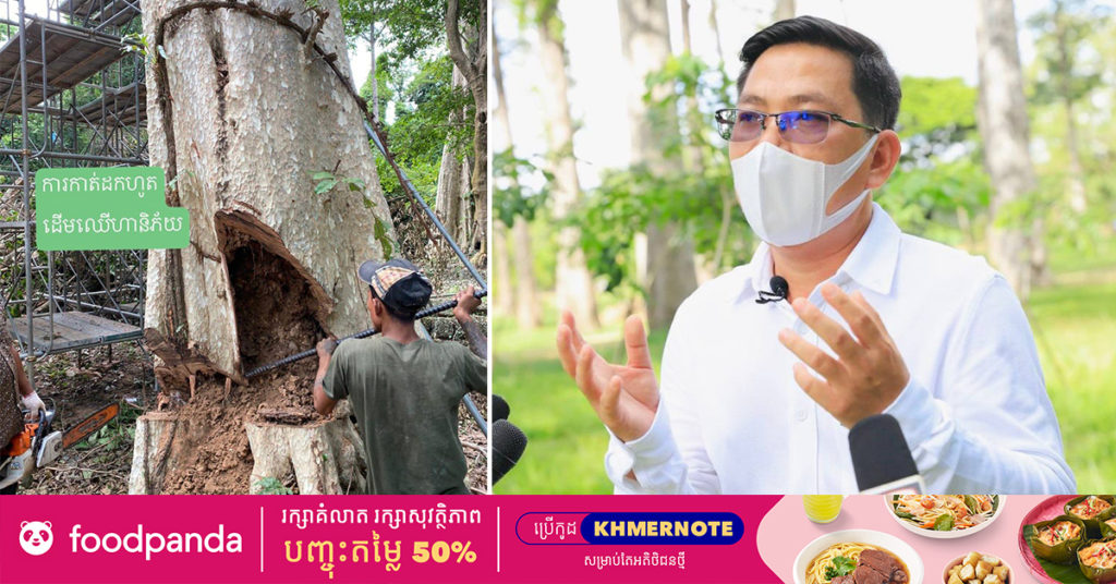 អាជ្ញាធរជាតិអប្សរា បដិសេដចំពោះការលើកឡើងថា អាជ្ញាធរ ឃុបឃិតជាមួយឈ្មួញ បានកាប់ដើមឈើនៅមុខអង្គរលក់ឱ្យឈ្មួញ