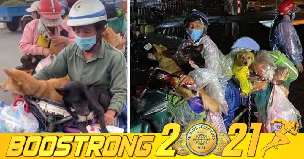 សត្វឆ្កែ និងឆ្មា ១៤ ក្បាលត្រូវបានអាជ្ញាធរវៀតណាមសម្លាប់ ក្រោយពិនិត្យឃើញម្ចាស់វិជ្ជមានកូវីដពេលកំពុងធ្វើចត្តាឡីស័ក ដើម្បីបង្ការការចម្លង ឥលូវនេះកំពុងទទួលបានការរិះគន់ជាខ្លាំង