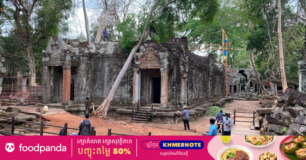 ក្រុមការងារព្រៃឈើកំពុងធ្វើការជាច្រើន ដើម្បីគ្រប់គ្រងដើមឈើហានិភ័យក្នុងតំបន់ប្រាសាទ