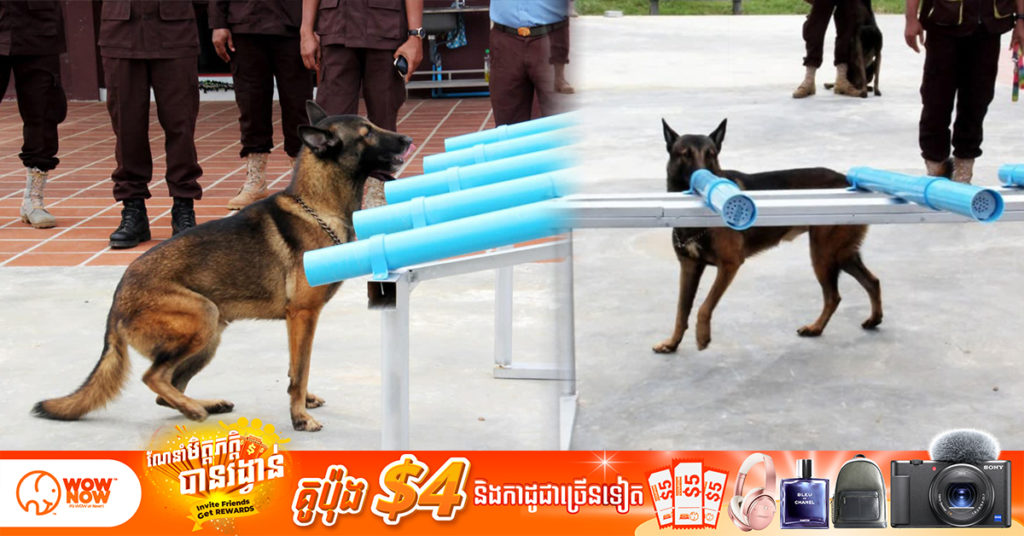 អគ្គនាយកស៊ីម៉ាក់ បានបញ្ជាក់ថា សុនខ កម្ពុជា មានសមត្ថភាព និងអាចចូលរួមសកម្មភាពប្រយុទ្ធ ប្រឆាំងកូវីដ១៩ បានជោគជ័យ