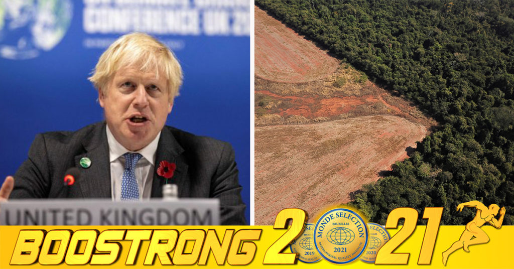 ប្រទេសជាង ១០០ នៅទូទាំងពិភពលោក បានប្តេជ្ញាបញ្ចប់ការកាប់បំផ្លាញព្រៃឈើត្រឹមឆ្នាំ២០៣០