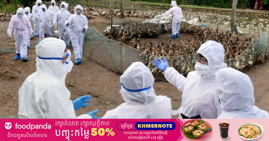 ជំងឺគ្រុនផ្តាសាយបក្សីកំពុងវាយប្រហារយ៉ាងឆាប់រហ័សនៅទ្វីបអឺរ៉ុប និងអាស៊ី ដែលបង្កើនការព្រួយបារម្ភថ្មីៗ ចំពោះលទ្ធភាពដែលជំងឺនេះអាចឆ្លងមកមនុស្សបាន