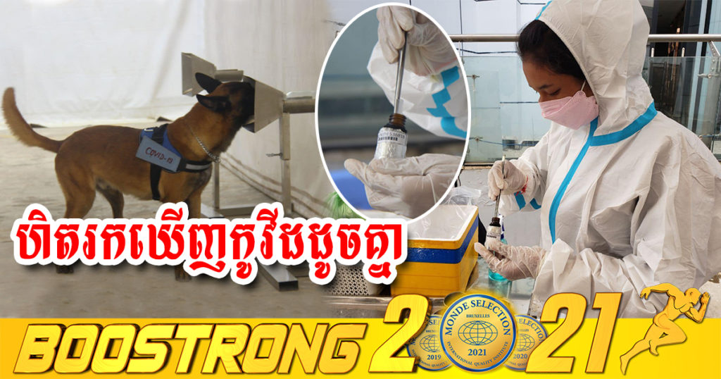 ការពិសោធន៍ចុងក្រោយបង្ហាញថា សុនខរបស់ ស៉ីម៉ាក់ អាចហិតរកឃើញកូវីដ-១៩ ដូចគ្នានឹងការប្រើឧបករណ៍ធ្វើតេស្ត