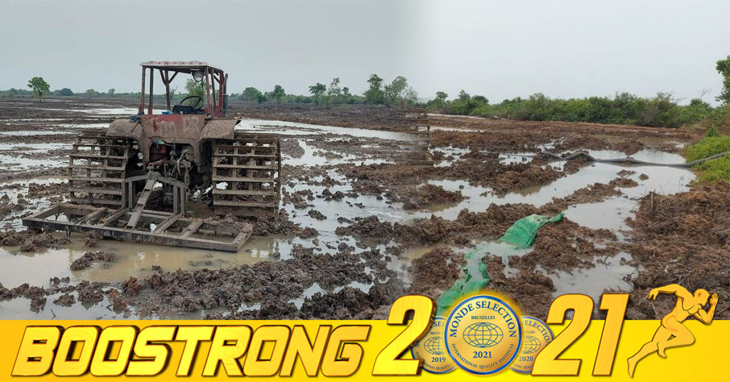 តុលាការសម្រេចឃុំខ្លួនជនសង្ស័យកា-ប់រុករានដីព្រៃលិចទឹក ៧នាក់