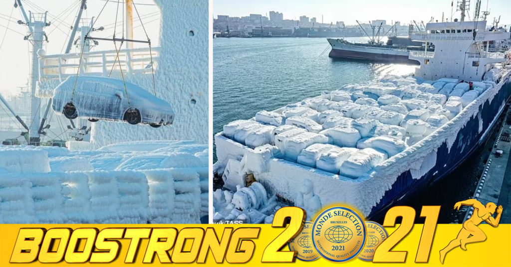 រថយន្តមួយទឹករបស់ជប៉ុនជាច្រើនគ្រឿងត្រូវទឹកកករុំជិតឈឹង ពេលមកដល់កំពង់ផែប្រទេសរុស្ស៊ី ដោយសារអាកាសធាតុចុះត្រជាក់ខ្លាំងខុសធម្មតា