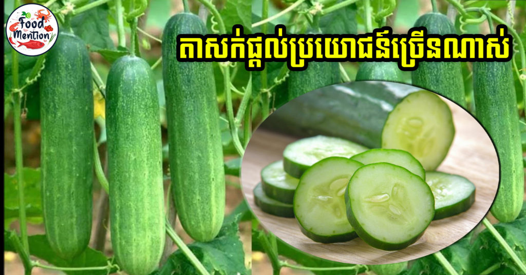 [ទំព័រម្ហូប] តាសក់ មិនត្រឹមជាបន្លែមានរសជាតិឆ្ងាញ់ តែក៏ផ្ដល់អត្ថប្រយោជន៍ល្អៗយ៉ាងច្រើនចំពោះសុខភាព