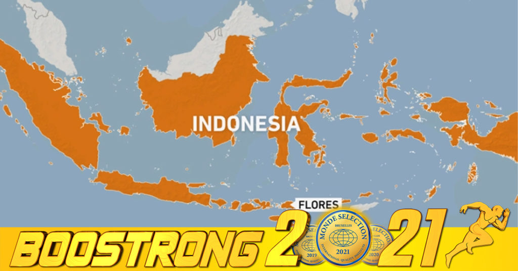 គ្រោះរញ្ជួយដីកម្រិត ៧.៣ រ៉ិចទ័រ ជាមួយសញ្ញាព្រមានពីរលកយក្សស៊ូណាមិ បានវាយប្រហារឆ្នេរសមុទ្រភាគខាងកើតប្រទេសឥណ្ឌូណេស៊ី