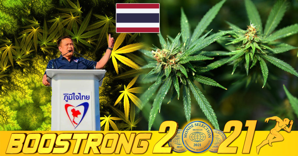 ប្រទេសថៃក្លាយជាប្រទេសដំបូងបំផុតក្នុងអាស៊ី ដែលបានអនុម័តលើការប្រើប្រាស់កញ្ឆាក្នុងវេជ្ជសាស្រ្ដ និងការប្រើប្រាស់តាមផ្ទះមានកម្រិត