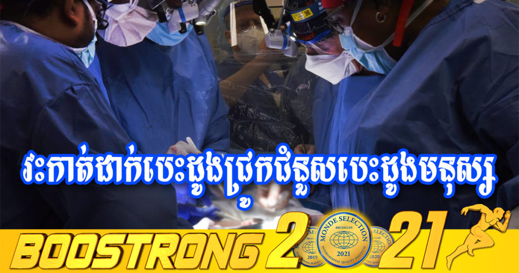 អាមេរិកទទួលជោគជ័យជាលើកដំបូងក្នុងការវះកាត់យកបេះដូងសត្វជ្រូកមកផ្លាស់ប្តូរជំនួសបេះដូងមនុស្ស