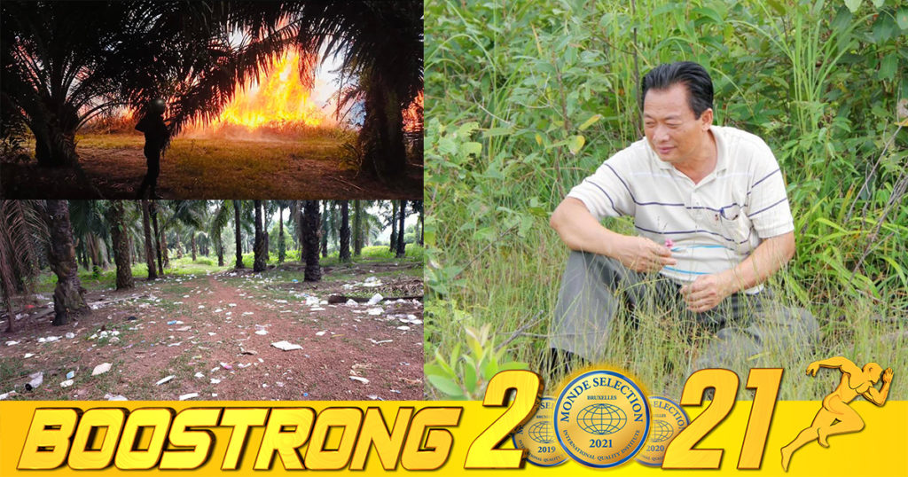 លោកឧកញ៉ា ម៉ុង ឬទ្ធី មានការសោកស្តាយយ៉ាងខ្លាំង ដោយចំការដូងប្រេង និងចំការកៅស៊ូ ដែលលោកឧកញ៉ាខំប្រឹងដាំ និងថែទាំជាង២០ឆ្នាំមកហើយ បែរបងប្អូនមកសម្រាកកម្សាន្តហូបចុកហើយបោះសំរាមចោលពេញហ្នឹង ព្រមទាំងមានអ្នកលួចដុតថែមទៀត