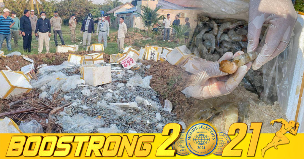 ច្រើនណាស់! មន្រ្តីជំនាញខេត្តកំពត បន្តរកឃើញ និងរឹបអូសបង្គាមានចាក់បញ្ចូលសារធាតុគីមី ប្រមាណជាង ១តោន នៅតាមមាត់ច្រកព្រំដែនចូលមកខេត្តកំពត