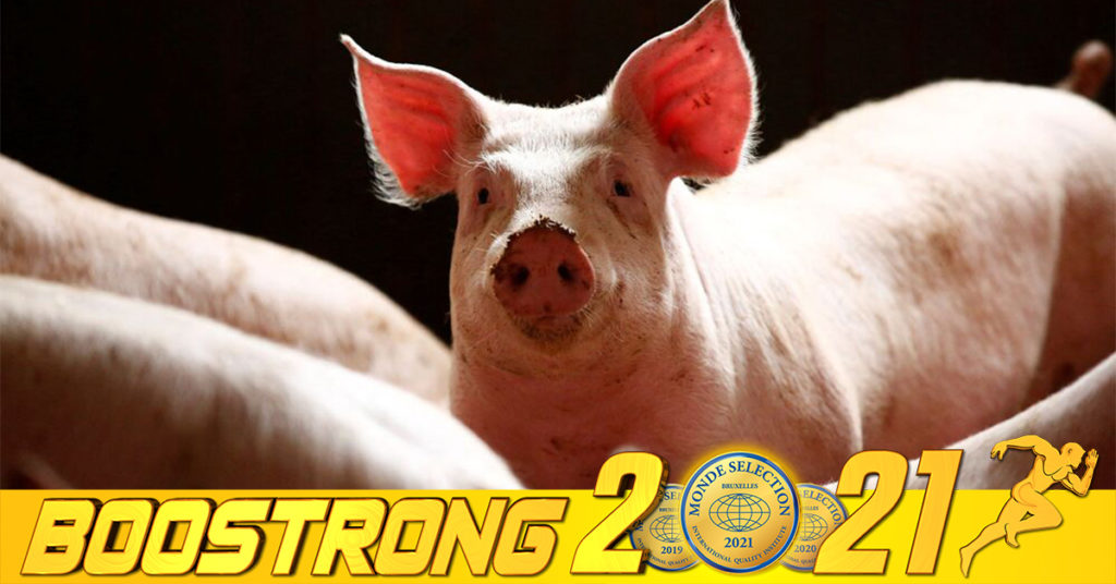 អាជ្ញាធររបស់ប្រទេសថៃ បានបញ្ជាក់ពីការរកឃើញជំងឺប៉េស្តជ្រូកអាហ្រ្វិកជាលើកដំបូងបំផុត បន្ទាប់ពីមានការសង្ស័យថា ខ្លួនព្យាយាមលាក់បាំងព័ត៌មានរបស់ជំងឺ