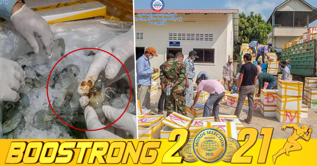 មន្រ្តីជំនាញខេត្តកំពត ស្ទាក់ចាប់បានរថយន្តដឹកគ្រឿងសមុទ្រ ៥គ្រឿង រកឃើញបង្គាជាង ៦ពាន់គីឡូក្រាមមានសារធាតុគីមី