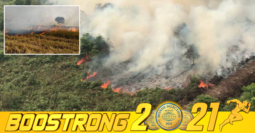 ក្រសួងបរិស្ថាន អំពាវនាវដល់រដ្ឋបាលថ្នាក់ក្រោមជាតិ ណែនាំពលរដ្ឋឱ្យប្រុងប្រយ័ត្នប្រើប្រាស់ភ្លើងប្រចាំថ្ងៃក្នុងរដូវប្រាំង ដែលអាចនឹងនាំឱ្យមានភ្លើងឆេះព្រៃ