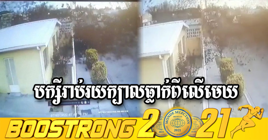 ចម្លែកមែនទែន! បក្សីរាប់រយក្បាលហោះសុខៗ ស្រាប់ធ្លាក់ពីលើមេឃមកពេញផ្លូវក្នុងប្រទេសមិចស៊ីកូ ដោយមិនដឹងមូលហេតុ (មានវីដេអូ)